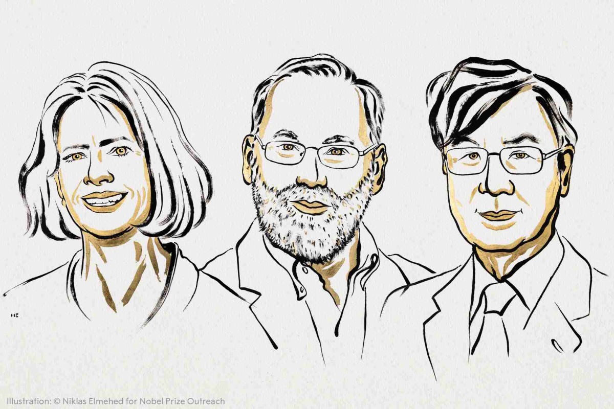 Discovery of immune system “Security Guards” wins 2025 Nobel Prize in Medicine