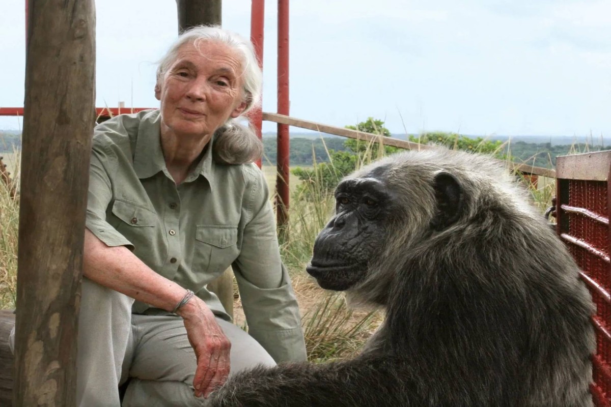 How Jane Goodall redefined our humanity