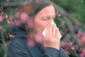 Does hay fever signal deeper issues?