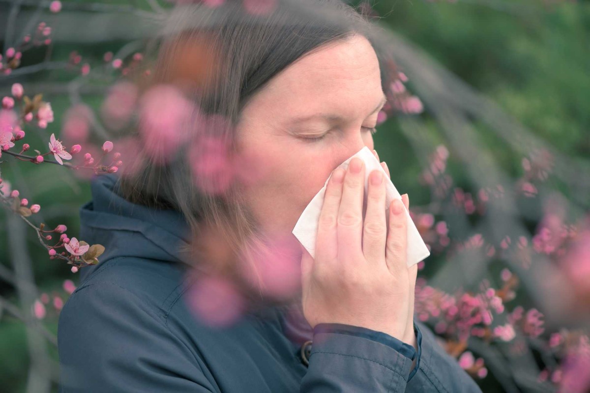 Does hay fever signal deeper issues?