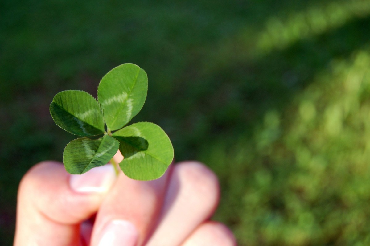 How to improve your luck in life