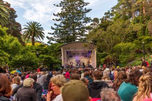 Celebrating New Zealand Music Month