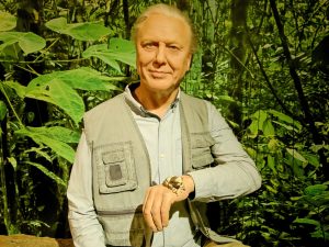 David Attenborough turns 100