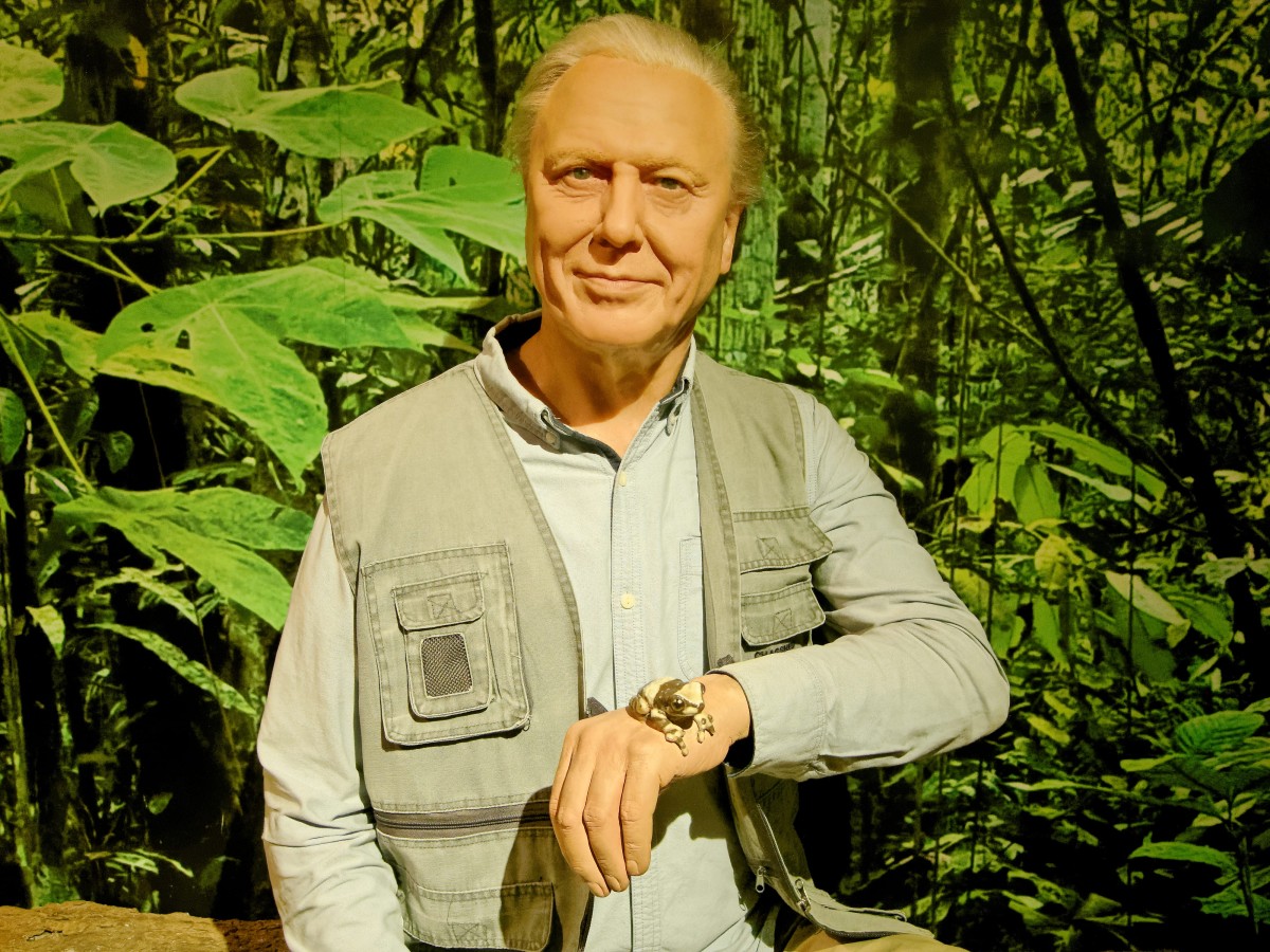 David Attenborough turns 100