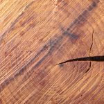 Splinter got you stuck?