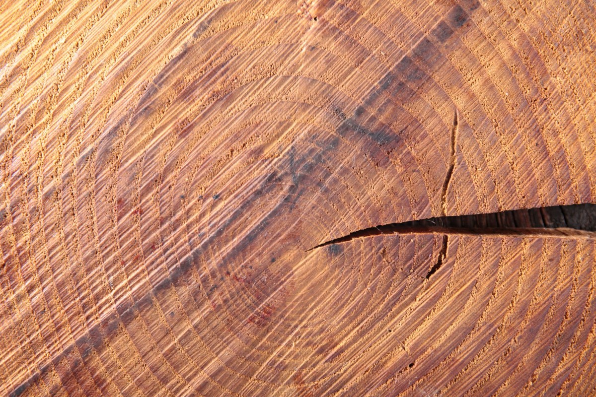 Splinter got you stuck?