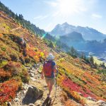 Going it alone: the case for solo outings and travel