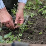 More than 200 Kiwis are hurt in the garden every day