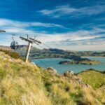 Fewer cruise ships for Christchurch as Dunedin and Timaru gain