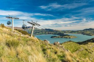 Fewer cruise ships for Christchurch as Dunedin and Timaru gain